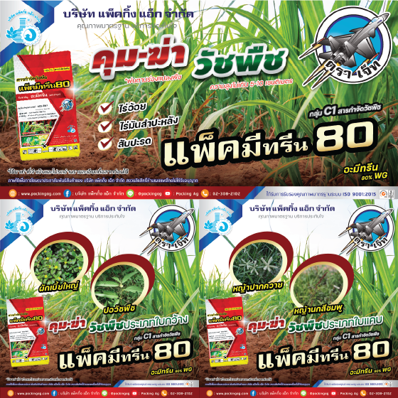 แพ็คมีทรีน80